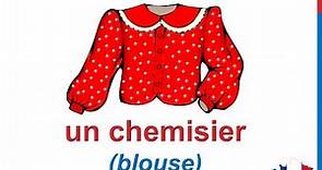 French Lesson 34 - CLOTHES in French CLOTHING Vocabulary - Les vêtements les habits Ropa en francés