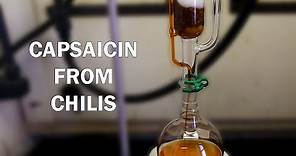 How to extract capsaicinoids from chili peppers