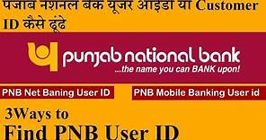How to Find PNB User ID or Customer ID