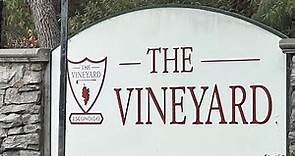 The Vineyard at Escondido (1/2) - 20221001