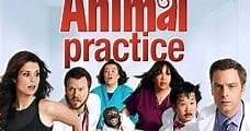 ANIMAL PRACTICE - Serie en Español