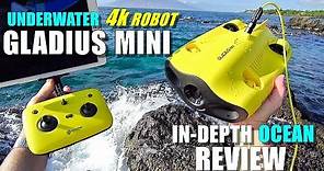 2019 Underwater Drone GLADIUS Mini 4K ROV Review - Part 3 - [In-Depth OCEAN TEST, Pros & Cons]