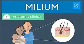 Milium: Definición, presentación clínica, tratamiento y manejo | Kenhub