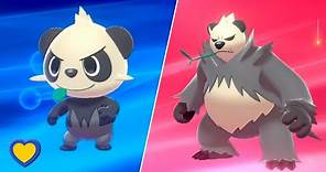 HOW TO Evolve Pancham into Pangoro in Pokémon Sword and Shield