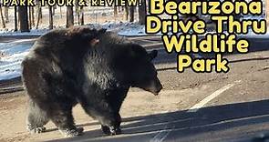 Bearizona Drive Thru Wild Life Park Full Tour & Review