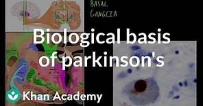 Biological basis of parkinson's disease | Behavior | MCAT | Khan Academy