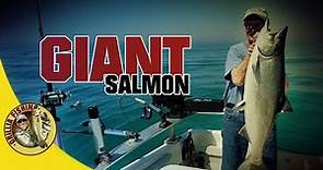 Giant Salmon!!! Homewrecker Charter on Lake Ontario June 2020