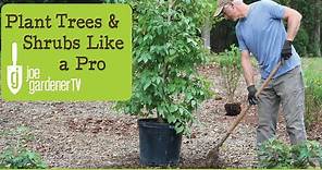 How To Plant Trees and Shrubs Like a Pro