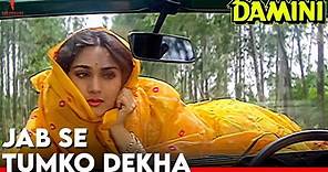 Jab Se Tumko Dekha | Damini | Full Song | Kumar Sanu, Sadhana Sargam | Rishi Kapoor