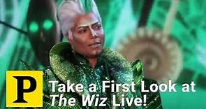 Take a First Look at The Wiz Live!