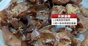 台灣首度出現"米酵菌酸"中毒! 配菜"黑木耳"成關鍵