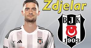 Sasa Zdjelar ● Welcome to Beşiktaş ⚪⚫🇷🇸 Best Tackles, Passes & Skills