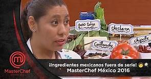 Programa 14: ¡Ingredientes mexicanos fuera de serie! ✨🧑‍🍳 | MasterChef México 2016