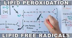 Mechanism of Lipid Peroxidation
