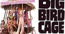 The Big Bird Cage (1972) Online - Película Completa en Español - FULLTV