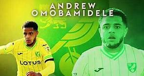 OMOBAMIDELE - THE FUTURE OF NORWICH & IRELAND'S DEFENCE