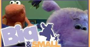 Big and Small - episodio 7 - Il caso del dinosauro scomparso