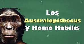 ⭐Los Australopithecus y Homo Habilis 📘 aulamedia Historia