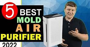 Best Air Purifier for Mold 2022 🏆 Top 5 Best Mold Air Purifier Reviews