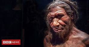 Como eram as relações sexuais entre humanos modernos e neandertais - BBC News Brasil