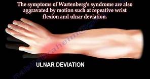Entrapment of Radial Nerve, Wartenberg's Syndrome - Everything You Need To Know - Dr. Nabil Ebraheim