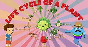 life cycle of plants for kids - Stages of Plant Life Cycle - Learning Junction