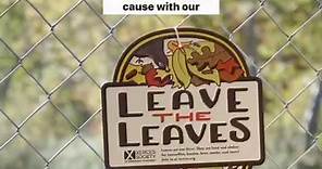 What does “leave the leaves” mean?