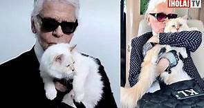 Choupette, la gata de Karl Lagerfeld, recibió su invitación formal para la MET Gala 2023 | ¡HOLA! TV