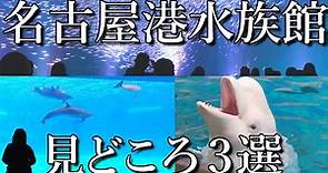 【愛知】名古屋港水族館 見どころ３選 かわいい・感動・癒やされる 全てそろった絶対行くべき最高の水族館