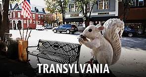Journey Across the 100: Transylvania County