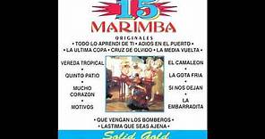 15 Grandes Exitos Marimba - AJR All-Stars (Disco Completo)