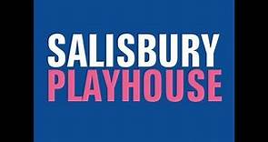 Salisbury Playhouse A Year in Figures
