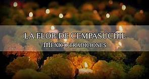 Características y leyenda de la Flor de Cempasuchil | Tradiciones y costumbres de México