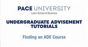Finding an AOK Course | Pace University's Lubin School of Business | Undergraduate Advisement