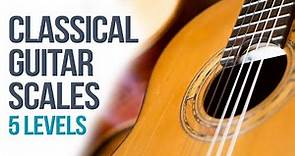 Classical Guitar Scales (5 Levels) + PDF