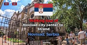 Serbia Novi Sad 🇷🇸 | Walking tour of Novi Sad | 4k 60fps