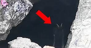 10 Mysterious Creatures Caught on Camera