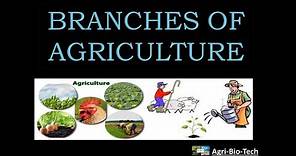 branches of agriculture | main branch of agriculture | branches and introduction of agriculture