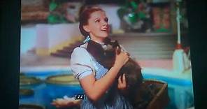 The Wizard of Oz (1939) Dorothy arrives in Oz and meets the Good Witch