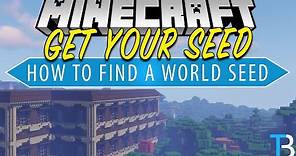 How To Find The Seed in Your Minecraft World