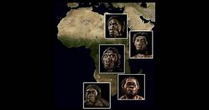 CARTA: Origins of Genus Homo – Steven Churchill: Southern Africa and the Origin of Homo