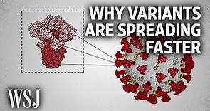 The Science Behind Why New Covid Variants Are Spreading Faster | WSJ