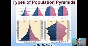 Types of Population Pyramids