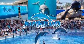 Marineland Mallorca - Dolphin & Seal Show