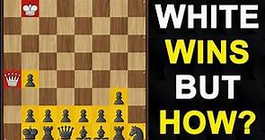 2 Extraordinary Chess Problems | Puzzle Challenge - Find the Winning Moves | Best Chess Stories