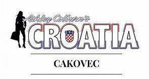 CAKOVEC Video Guide
