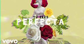 Luis Fonsi, Farruko - Perfecta (Lyric Video)