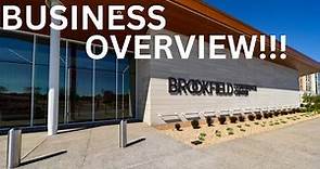 BROOKFIELD CORPORATION | BUSINESS OVERVIEW