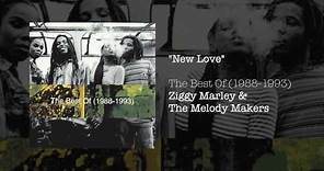 New Love - Ziggy Marley & The Melody Makers | The Best of (1988-1993)