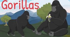 Gorillas - Gorilla facts for primary and elementary schools